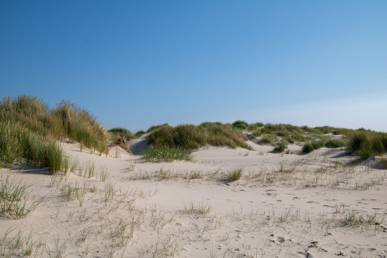 Camping an der Nordsee: Schuhe vergessen? Das brauchen Sie für Strand und Watt