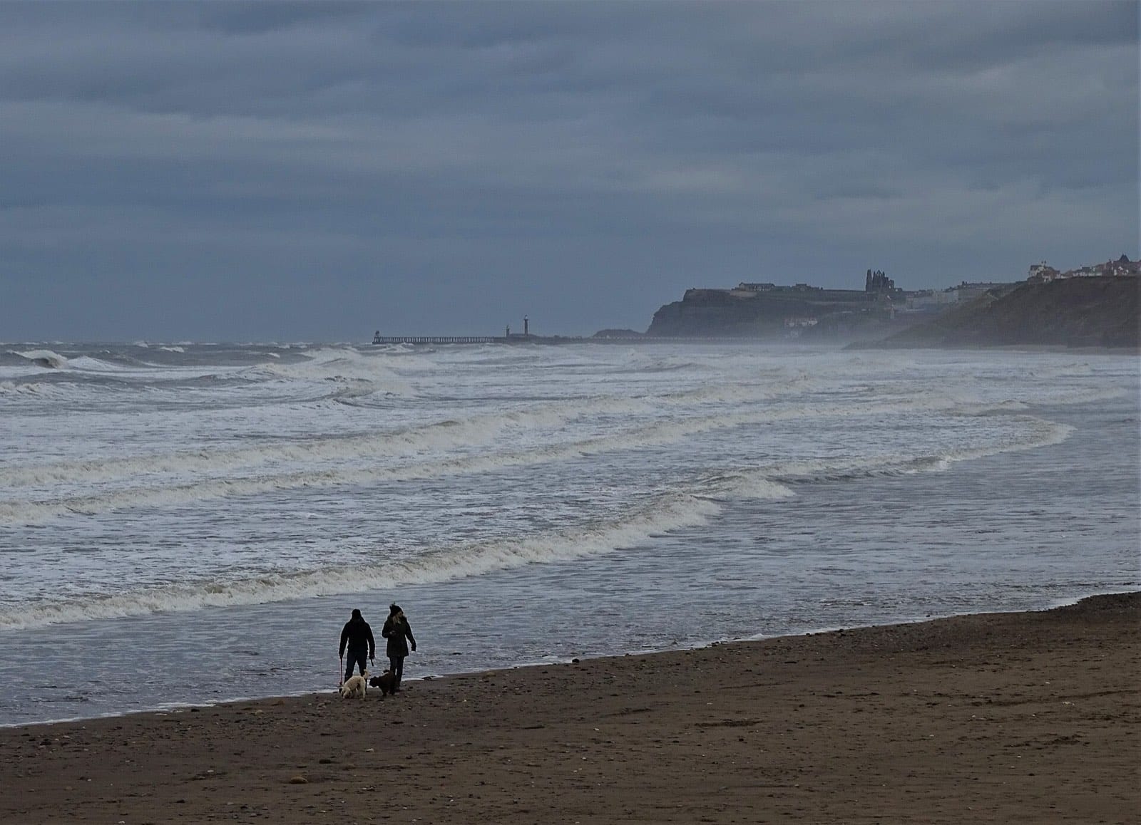 Nordsee-Urlaub mit Hund: Hundestrände und Regeln in Norddeich, Bensersiel, Neuharlingersiel und Carolinensiel