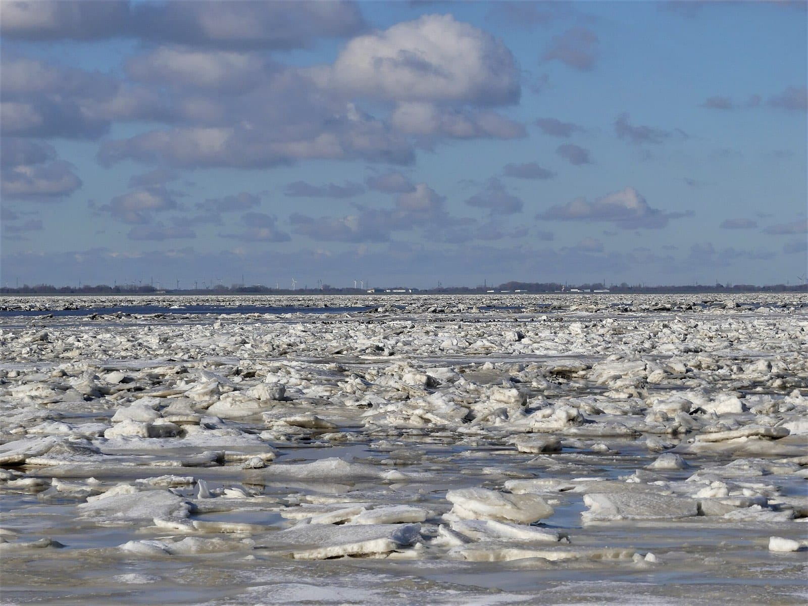 Neujahrsschwimmen an der Nordsee 2027: Wangerooge, Bensersiel, Norderney